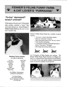 FFF Flyer